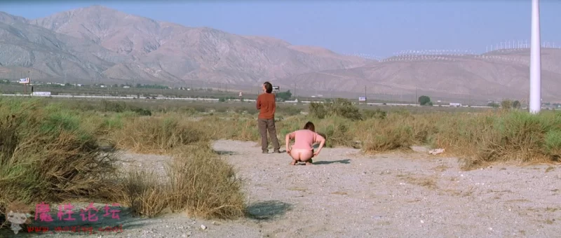 twentynine.palms.2003.720p.bluray.x264-cinefile.mkv_20181115_231245.671dee7c77c1.jpg